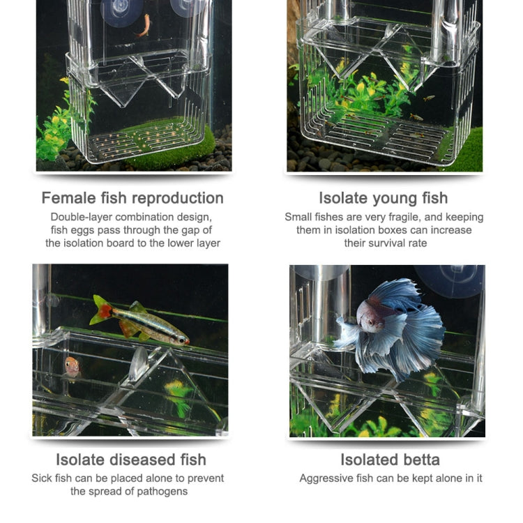 Extra Large Peacock Fish Double Layer Transparent Breeding Isolation Box Aquarium Breeding Box