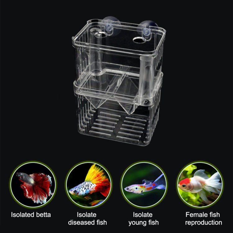 Extra Large Peacock Fish Double Layer Transparent Breeding Isolation Box Aquarium Breeding Box