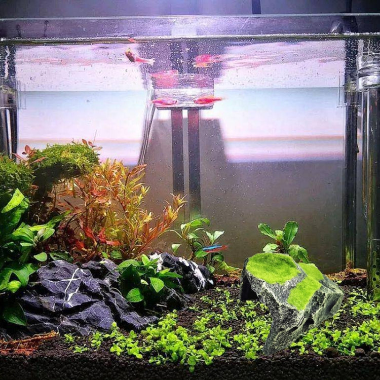 FGT48 Flocked Caple Box Turtle Hiding Nest Moss Cave Turtle Cave Sunbed