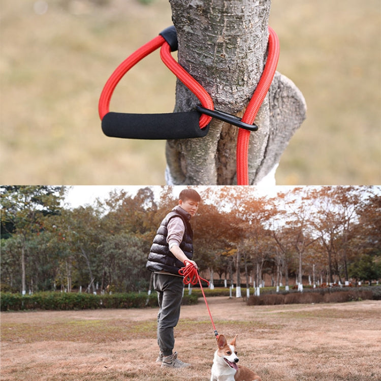 Sh36 Rock Climbing Rope Pet Leash Bold and Long Dog Training Tracking Rope, Size: 10m(10mm Light Blue)