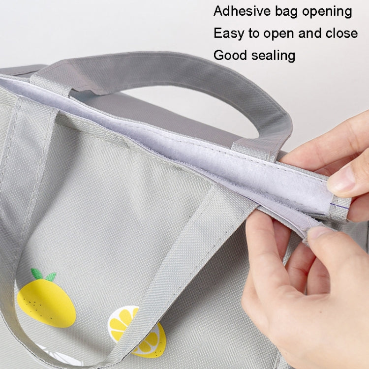 Square Fruit Large Capacity Picnic Insulation Bag Waterproof Bento Bag(Blue)