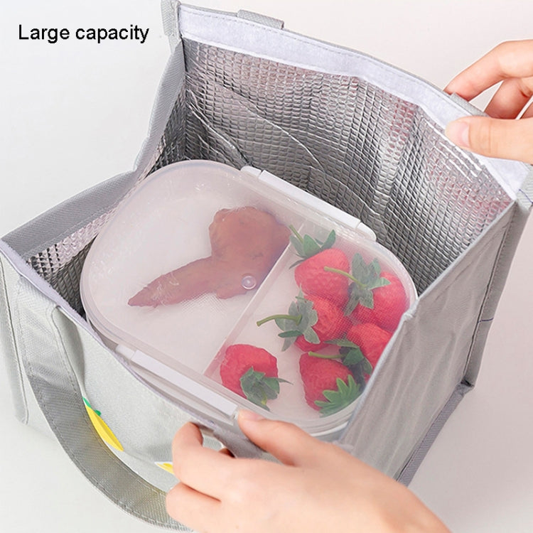 Square Fruit Large Capacity Picnic Insulation Bag Waterproof Bento Bag(Gray)