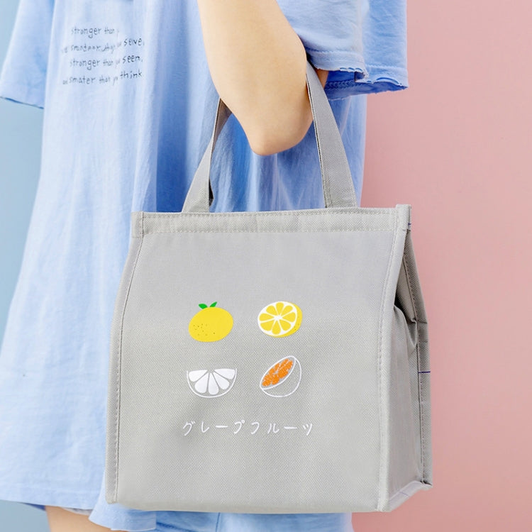 Square Fruit Large Capacity Picnic Insulation Bag Waterproof Bento Bag(Gray)