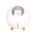 WT-TX5 USB Direct Insert Version Humidifier Mini Planet Cat Desktop Purifier(White)