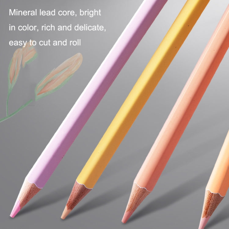 36 Colors Oily Bright Color Pencil Studio Special Set Macaron