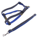 BG-Q1025 Leash+Chest Strap Thickened Strong Denim Pet Dog Leash Set, Size: S(Blue)