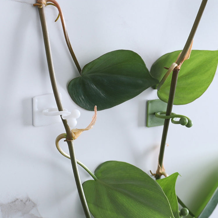 Medium 50pcs Plant Climbing Wall Buckle Vine Traceless Plant Fixer Self-Adhesive Hooks(Green)