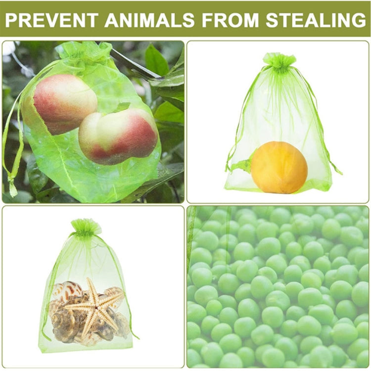 100pcs /Pack  Fruit Protection Bag Anti-Insect And Anti-Bird Net Bag 25 x 35cm(Green)