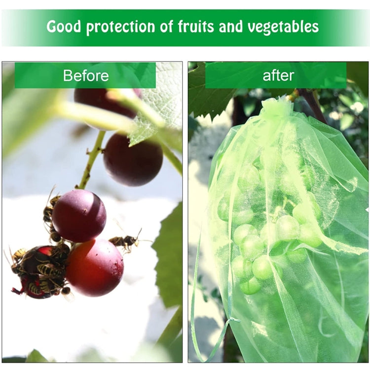 100pcs /Pack  Fruit Protection Bag Anti-Insect And Anti-Bird Net Bag 15 x 20cm(Dark Green)