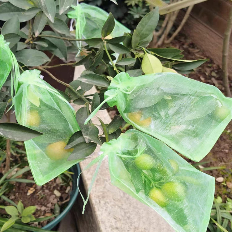 100pcs /Pack  Fruit Protection Bag Anti-Insect And Anti-Bird Net Bag 30 x 40cm(Black)