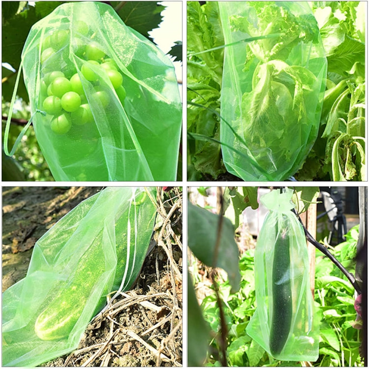 100pcs /Pack  Fruit Protection Bag Anti-Insect And Anti-Bird Net Bag 20 x 30cm(White)