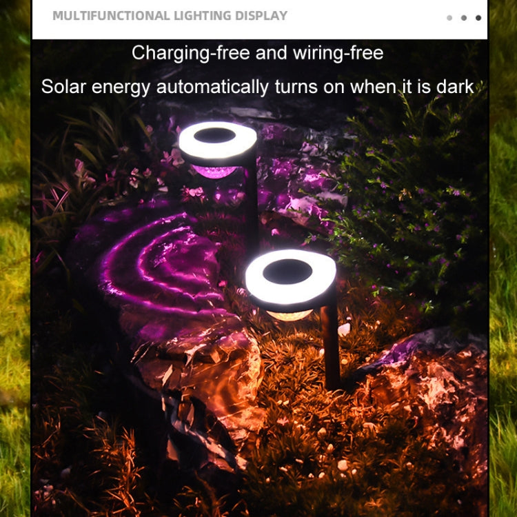 Outdoor Solar LED Dual Light Source Ground Plug Light, Model: JG04803 Flame