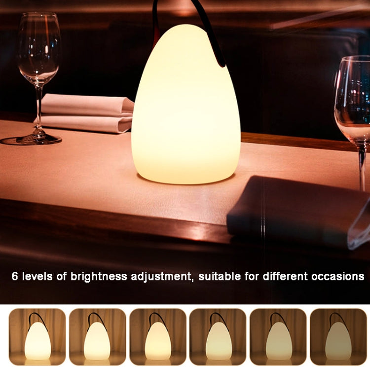 16 Colors LED Night Light with Handle Hanging Lantern USB Rechargeable Table Lamp(Egg-shaped)