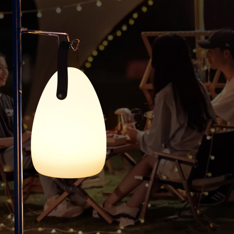 16 Colors LED Night Light with Handle Hanging Lantern USB Rechargeable Table Lamp(Egg-shaped)