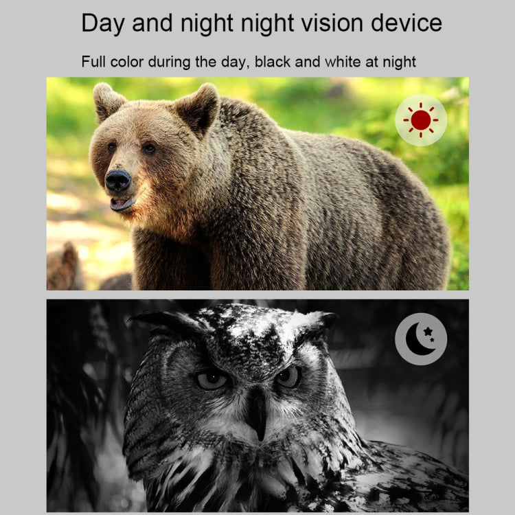 APEXEL 3-inch LCD HD Screen Photo Video Portable Binoculars Digital Infrared Night Vision Device(APL-NV009)