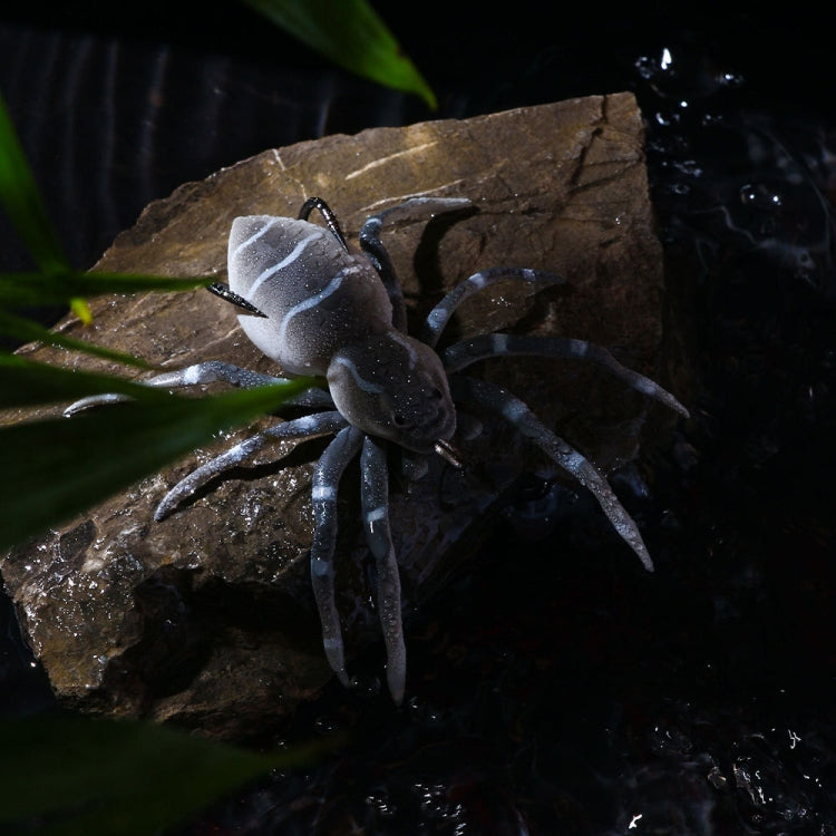 HENGJIA 8cm 7g Lua Spider Soft Bait Bionic Mimic Bait, Color: 3