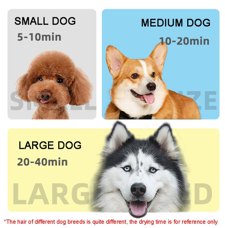 2100W Dog Dryer Stepless Speed Pet Hair Blaster With Vacuum Cleaner 220V UK Plug(Black White)