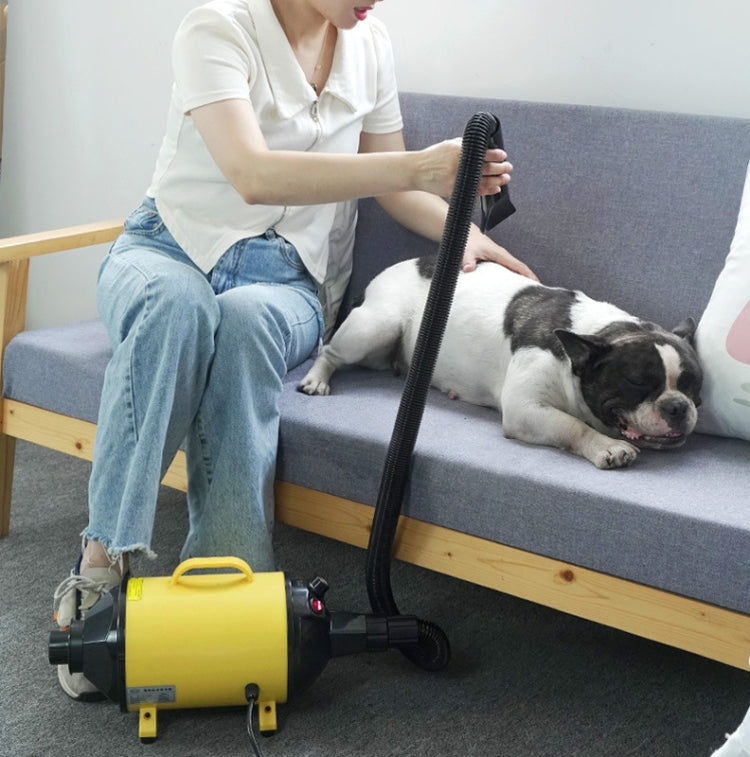 2100W Dog Dryer Stepless Speed Pet Hair Blaster With Vacuum Cleaner 110V US Plug(Pure White)
