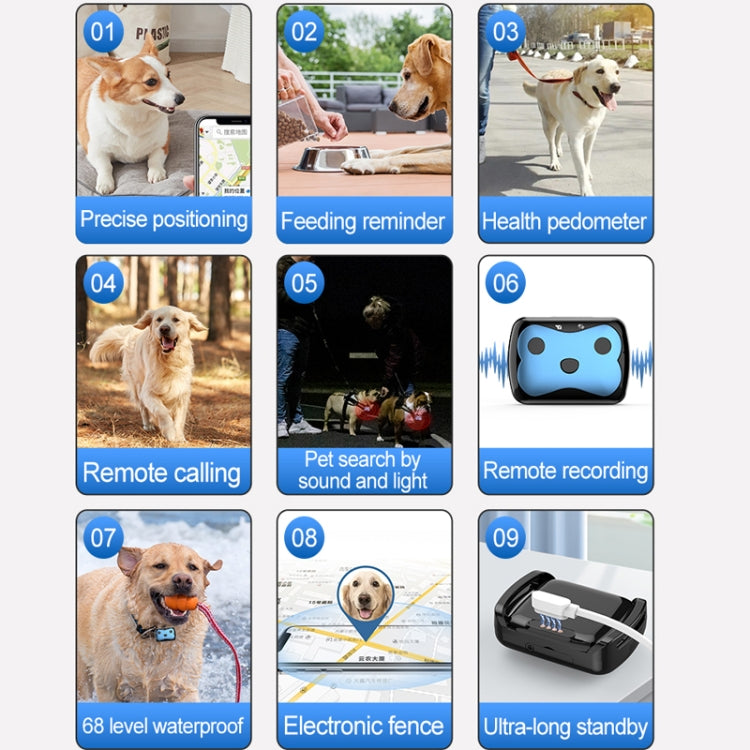 GPS Wireless Wifi Pet Location Chasing Cat Dog Collar Anti-loss Locator(Sky Blue)