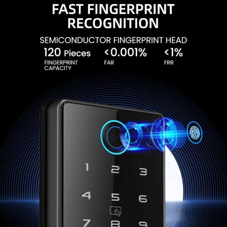 C87 Automatic Fingerprint Lock Entry Door Password Smart Lock(Black)