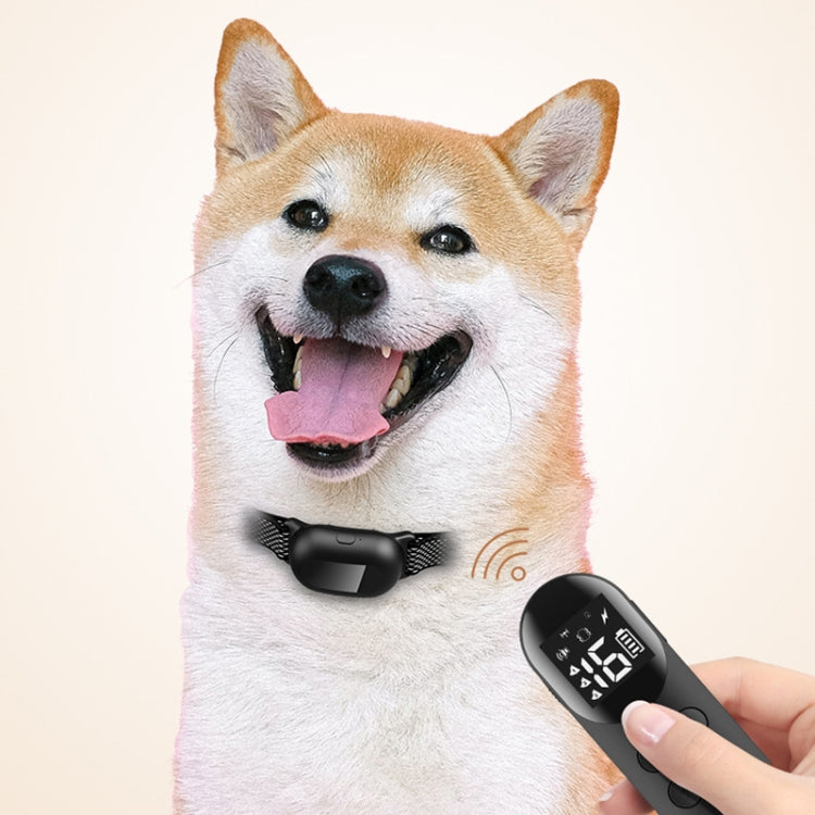 Smart Waterproof Shock Collar For Pets Remote Control Dog Training Device, Size: For-Two-Dog(Black)