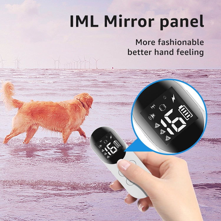 Smart Waterproof Shock Collar For Pets Remote Control Dog Training Device, Size: For-Two-Dog(Black)
