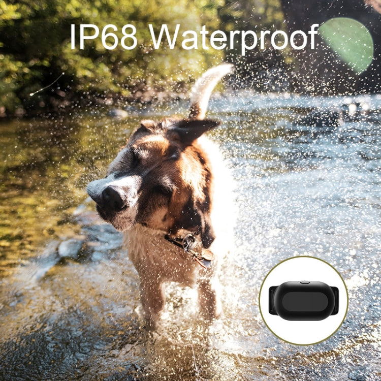 Dog Training Collar Smart 400m Remote Control Pet Training Device, Specification: Receiver