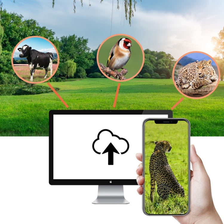 HC-940Pro-Li 4K 4G Outdoor Track Camera Remote Mobile Phone Control To View Photos / Video At Any Time