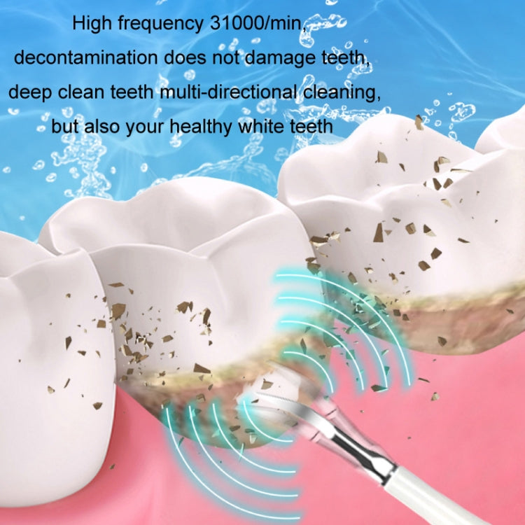 Electric Dental Scaler Accessories Replacement Head, Color: 5pcs Toothbrush Head Black