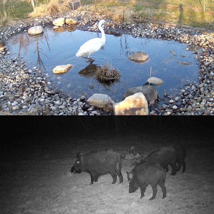 HC-801Pro 4K 4G Outdoor Hunting Camera App Remote Mobile Phone Control To View Photos And Video At Any Time, EU Plug