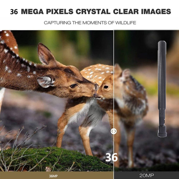 HC-801Pro 4K 4G Outdoor Hunting Camera App Remote Mobile Phone Control To View Photos And Video At Any Time, EU Plug