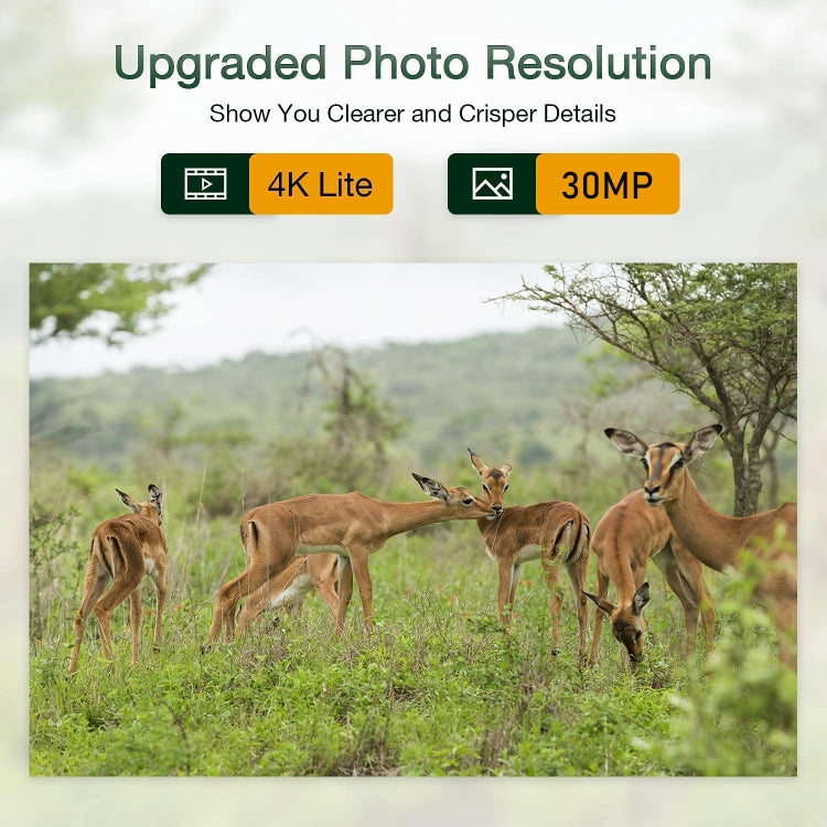 HC-801Pro 4K 4G Outdoor Hunting Camera App Remote Mobile Phone Control To View Photos And Video At Any Time, EU Plug