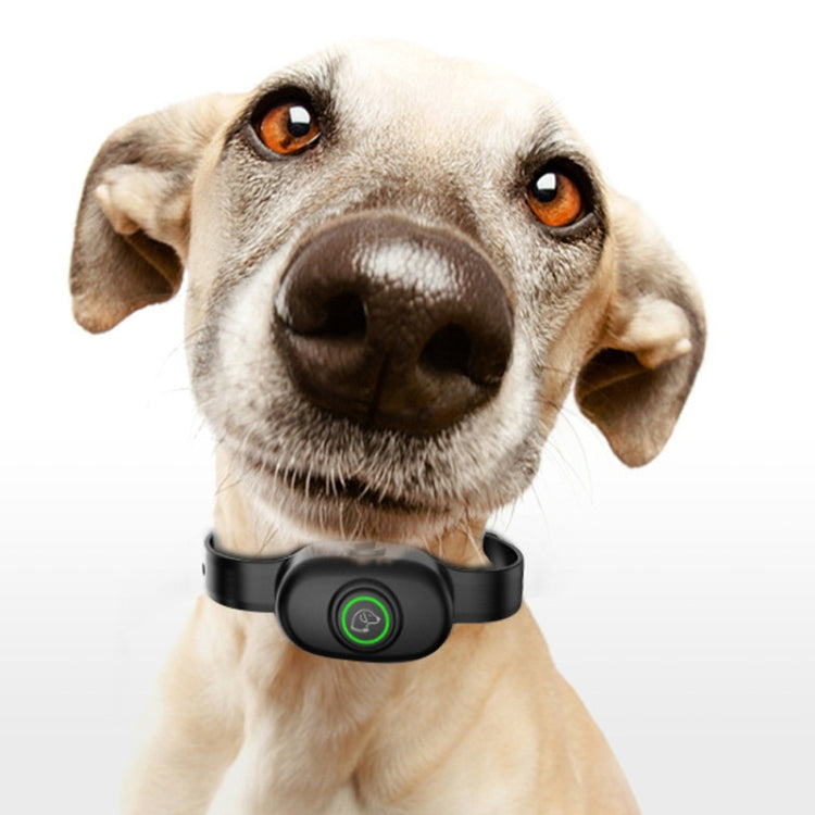 Auto Stop Barker Pet Shock Collar Dog Trainer(Orange)