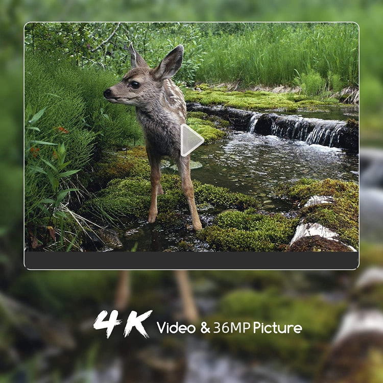 WiFi900Pro 4K Outdoor Tracking Hunting Camera App Remote Phone Operation To View Photos / Videos At Any Time