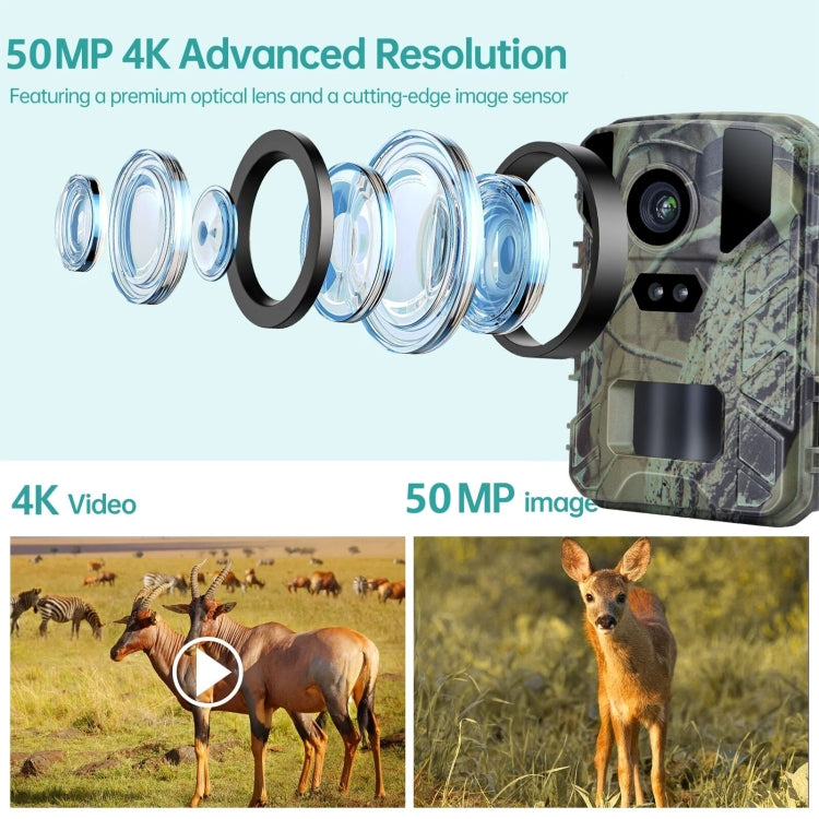 Mini800 Mini Wildlife Hunting Camera 50MP/4K Keep Way Night Vision Infrared Camera