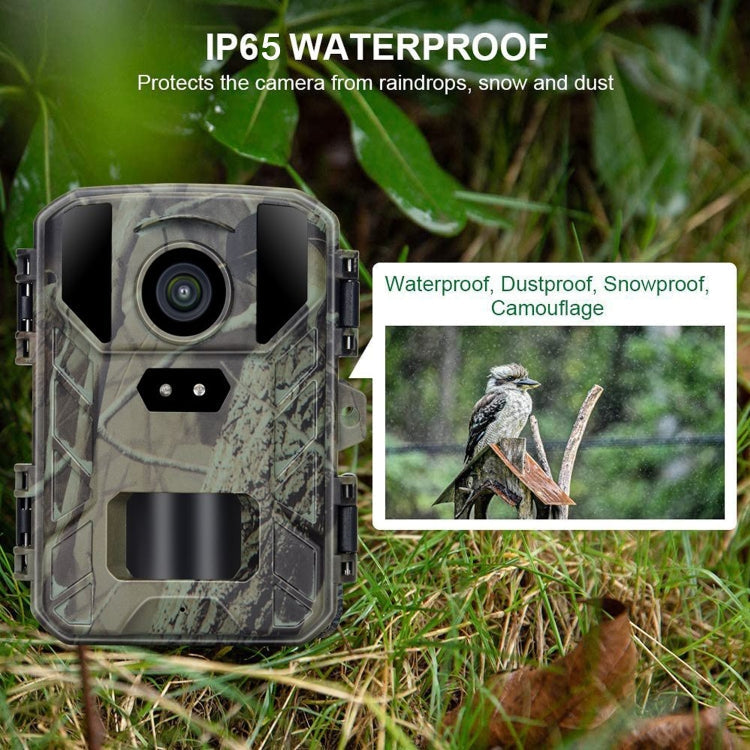 Mini800 Mini Wildlife Hunting Camera 50MP/4K Keep Way Night Vision Infrared Camera
