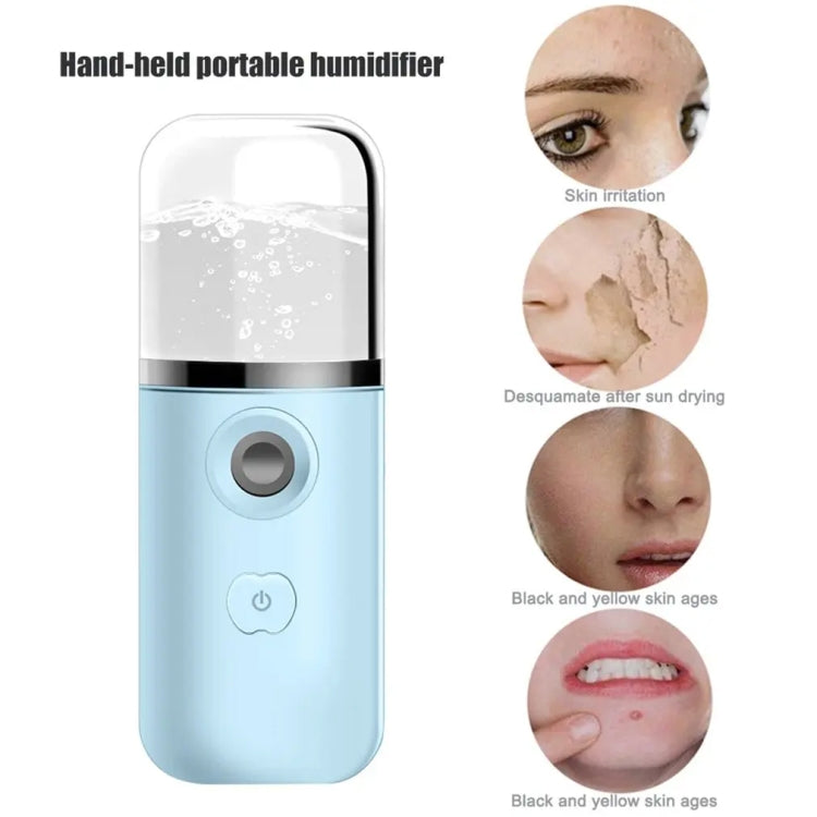 30ml Handheld Alcohol Disinfectant Instrument USB Interface Hydration Meter Humidifier, Color: Blue