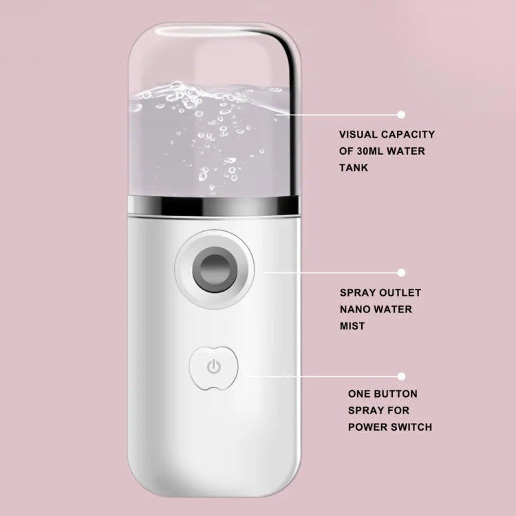 30ml Handheld Alcohol Disinfectant Instrument USB Interface Hydration Meter Humidifier, Color: Blue