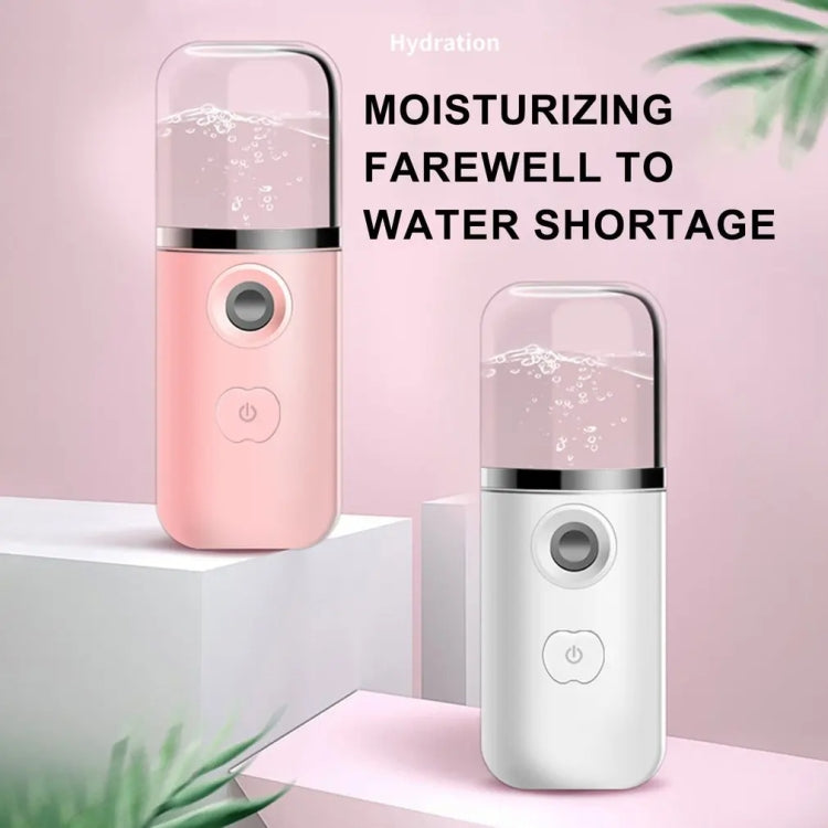 30ml Handheld Alcohol Disinfectant Instrument USB Interface Hydration Meter Humidifier, Color: Pink