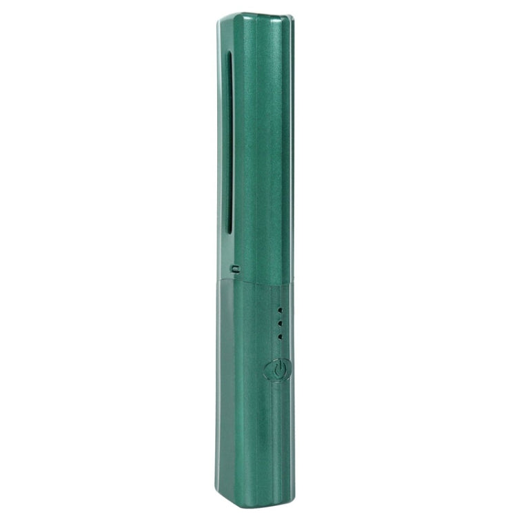 2 In 1 Portable USB Rechargeable Hair Curler Dual Usage Hair Straightening Comb(Green)