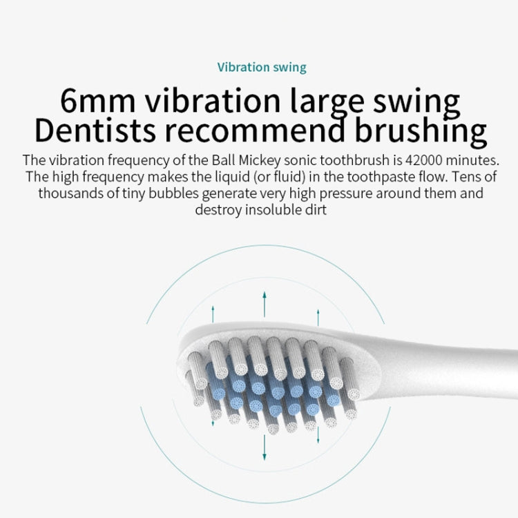Rechargeable Ultrasonic Soft Bristle Electrical Toothbrushes Flosser 6 Gear With 4 Brushes(Black)