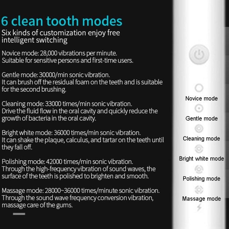 Rechargeable Ultrasonic Soft Bristle Electrical Toothbrushes Flosser 6 Gear With 4 Brushes(Black)