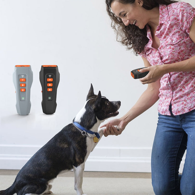 LED Flashing Light Handheld Ultrasonic Bark Arrester Frequency Conversion Dog Training Device(Dark Gray)