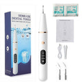 Ultrasonic Electric Dental Scaler Teeth Plaque Cleaner Dental Stone Removal With LED Light, Spec: Package A