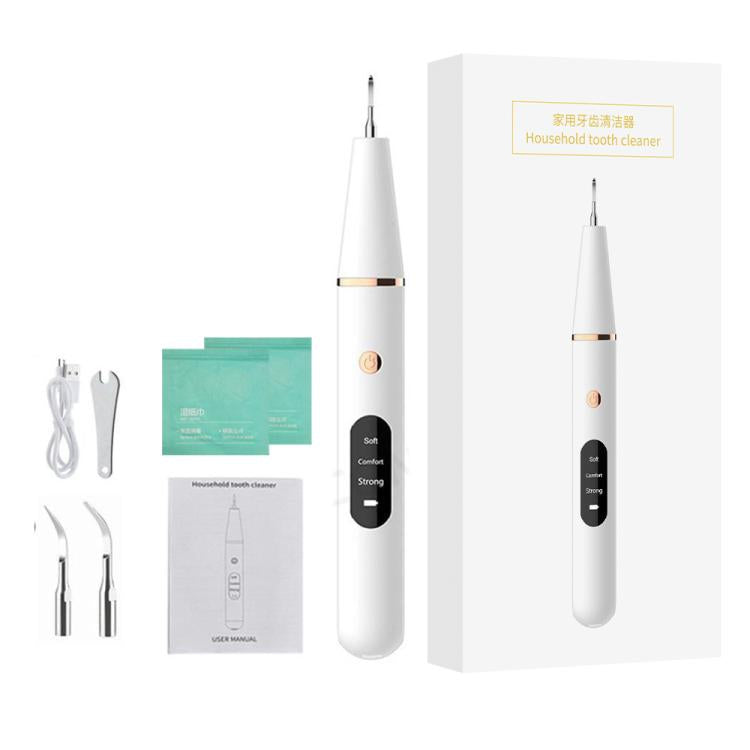 Ultrasonic Electric Dental Scaler Teeth Plaque Cleaner Dental Stone Removal With LED Light, Spec: Package B