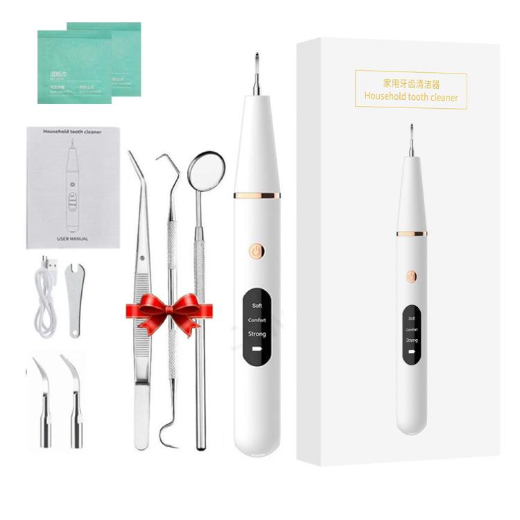 Ultrasonic Electric Dental Scaler Teeth Plaque Cleaner Dental Stone Removal With LED Light, Spec: Pacakge B with Accessories