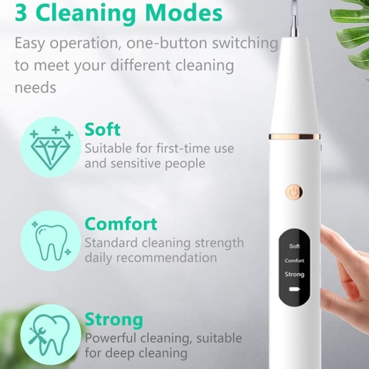 Ultrasonic Electric Dental Scaler Teeth Plaque Cleaner Dental Stone Removal With LED Light, Spec: Package B