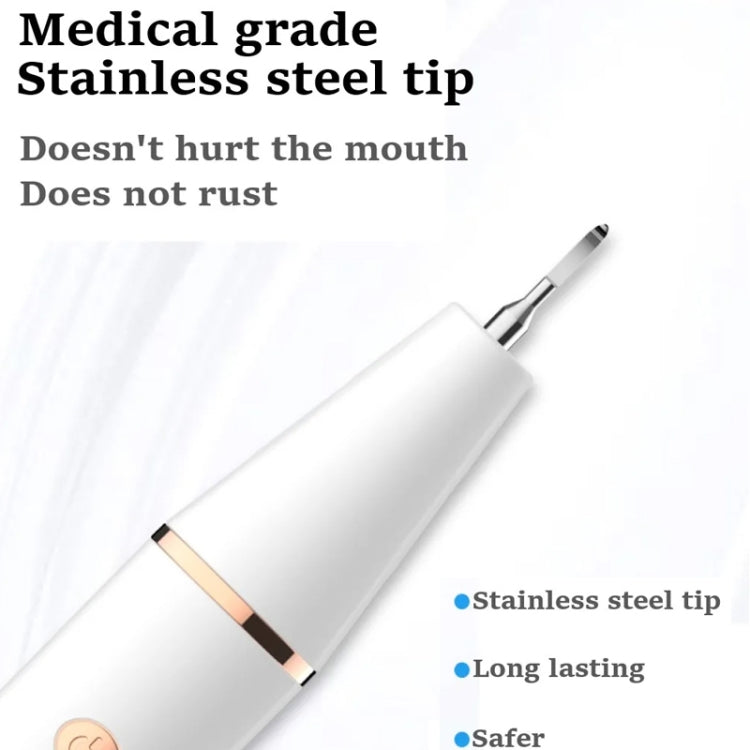 Ultrasonic Electric Dental Scaler Teeth Plaque Cleaner Dental Stone Removal With LED Light, Spec: Package A