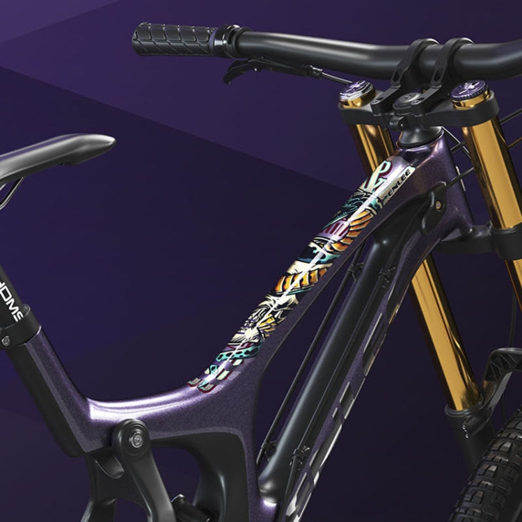 ENLEE E-2210 10pcs /Set Bicycle Jersey Stickers Mountain Bike Frame Protection Adhesive Tape, Model: Aurora