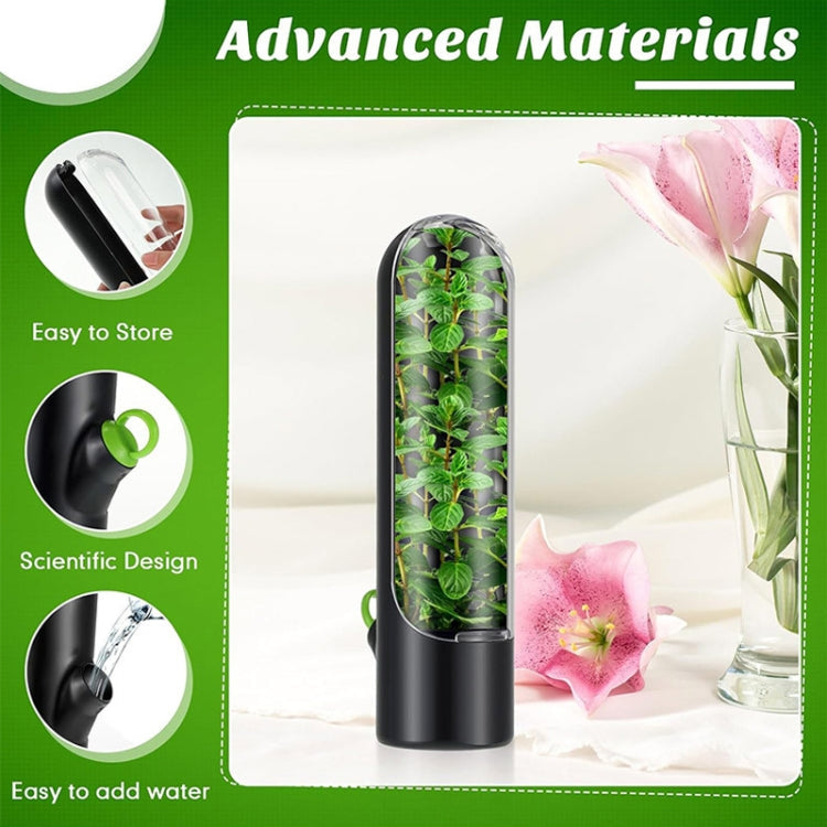 Herb Crisper Vegetable Keep Fresh Container Cilantro Herb Storage Container(Black)
